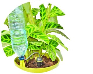 Ca. 40x Waterdruppelaars