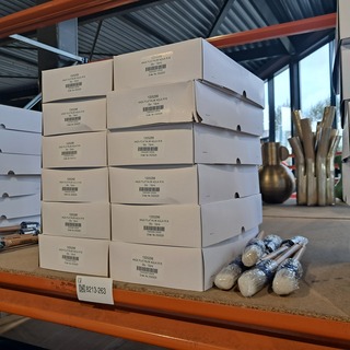 Ca. 150x Platinum kwast maat 16, ANZA, Wit