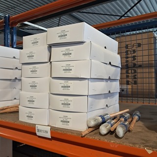 150x Platinum kwast maat 16 ANZA, Wit