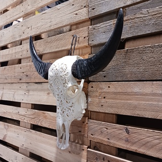 Large hand gegraveerde Buffalo schedel, 2024