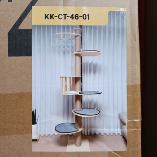 Krabpaal kat kitten, 2025