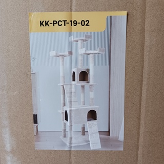 Krabpaal kat kitten, 2025