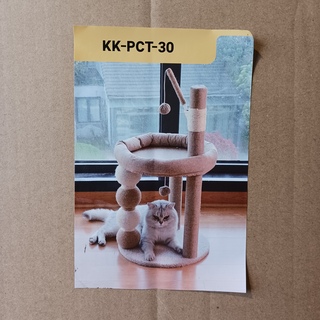 2x Krabpaal kat kitten, 2025