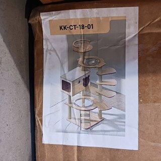 Krabpaal kat kitten, 2025