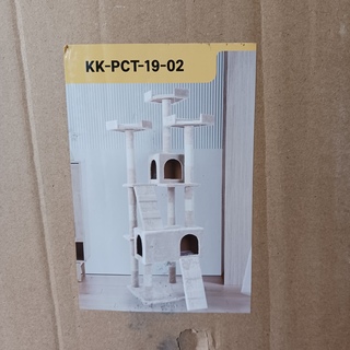 Krabpaal kat kitten, 2025