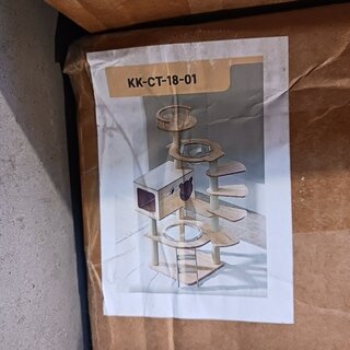 Krabpaal kat kitten, 2025