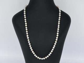 Parel snoer met gouden sluiting