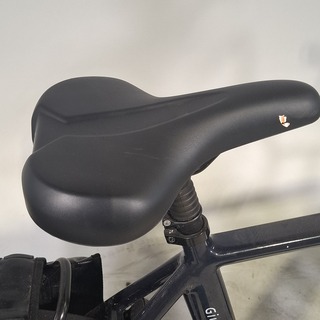 Elektrische herenfiets, Forza, Giulia Cosmo