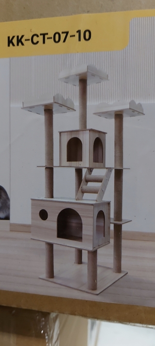 Krabpaal kat / kitten, 2025