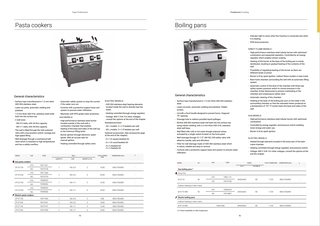 ( Locatie Heerenveen ) Pastakoker, Fagor, CP-E7140, RVS, 2024