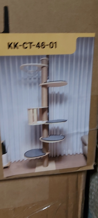 Krabpaal kitten kat poes, 2025