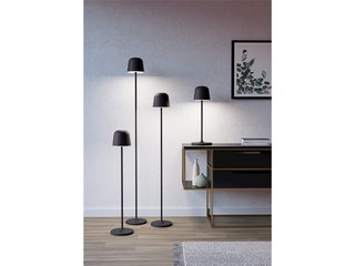 Eglo Mannera-L Led-vloerlam metaal in Zwart IP54