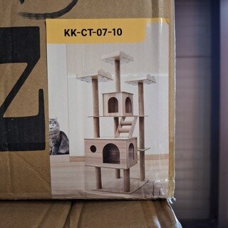 Krabpaal kitten kat poes, 2025