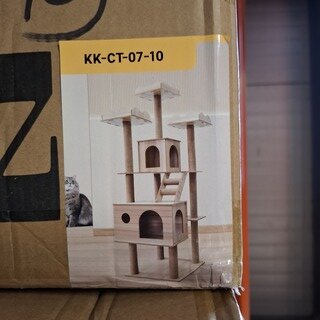 Krabpaal kitten kat poes, 2025