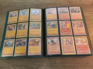 Pokémon kaarten collectie (Japans & Engels)