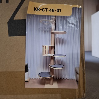 Krabpaal kitten kat poes, 2025