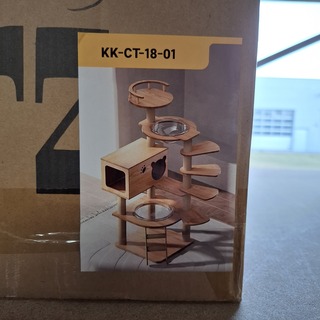 Krabpaal kitten kat poes, 2025