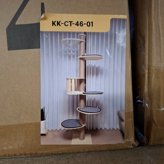 Krabpaal kitten kat poes, 2025