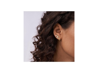 Fossil JF04532710 Heritage Crest Goudkleurige Roestvrijstalen Oorknopj