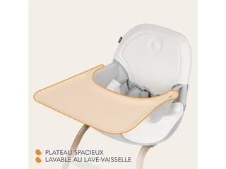 Lionelo Dalia 2in1  Kinderstoel  van 6 maanden tot 60 kg Grijs