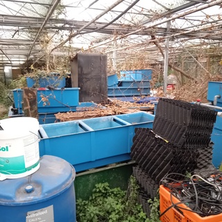 Partij quarentainebakken t.b.v. vijver installatie