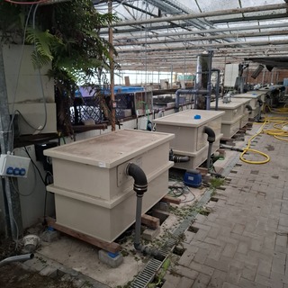 Ca. 11x Vijverfilter, Ma Koi / MPF