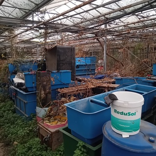 Partij quarentainebakken t.b.v. vijver installatie