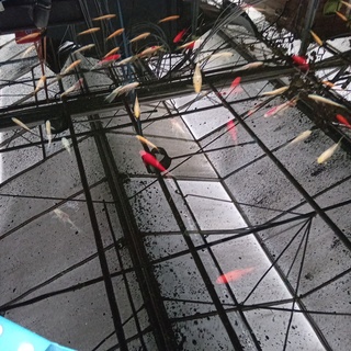 Vijverinstallatie inclusief vissen, O.a. Aquaforte