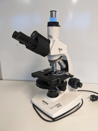 Optische microscoop, Novex Holland, B-type, wit, 2018