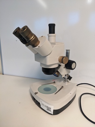 Preparatie microscoop, Schut, wit