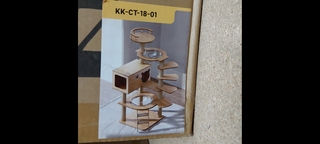 Krabpaal kitten / kat / poes, 2025