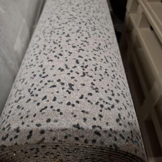 60 m2 Rol industriële tapijt Forbo, FP10-342116