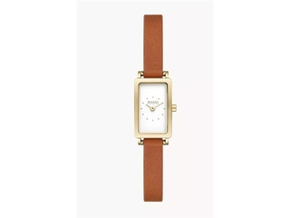 Skagen SKW3149 Dames Horloge Goudkleurig