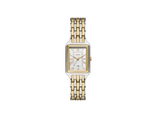 Fossil ES5368 Raquel Dames Horloge Zilverkleurig