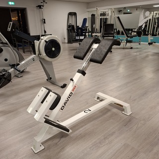 Fitness bank David , 20