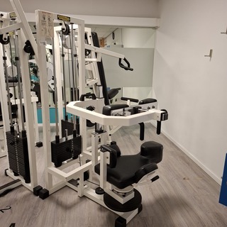 Rotary Torso Technogym