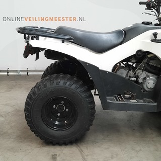 Quad, Kawasaki, KVF 300C