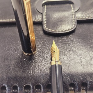 Elysee Capitol 18kt GP vulpen inclusief leren Claudio Ferrici notitieb