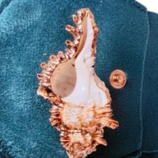 Zeeschelp hanger met roségouden plating