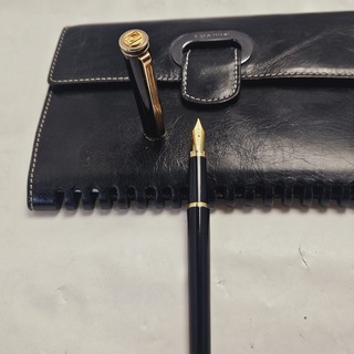 Elysee Capitol 18kt GP vulpen inclusief leren Claudio Ferrici notitieb