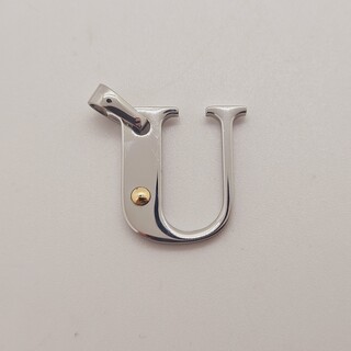 Pendant staal met .750 goud.