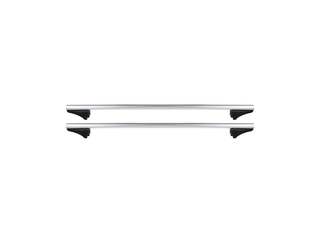 TwinnyLoad Dakdrager FlyBar124cm Zilver  100kg Draagvermogen Aluminium