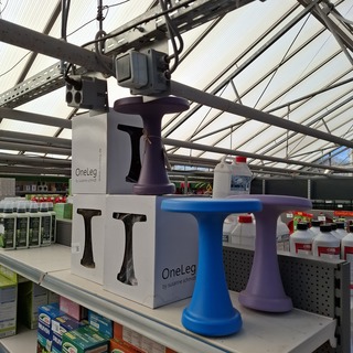 6x Kruk, Susanne Schmidt, OneLeg