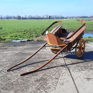 Paarden rijtuig, 1 paards