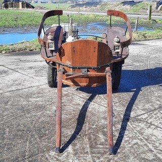 Paarden rijtuig, 1 paards