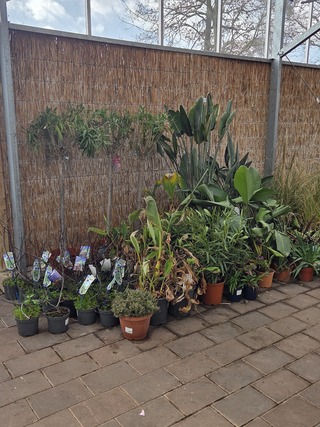 Partij planten