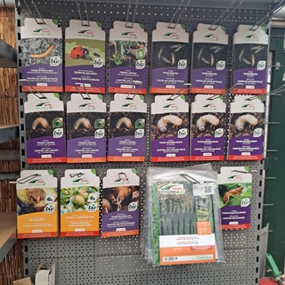 Assortiment ongedierte bestrijding, DCM