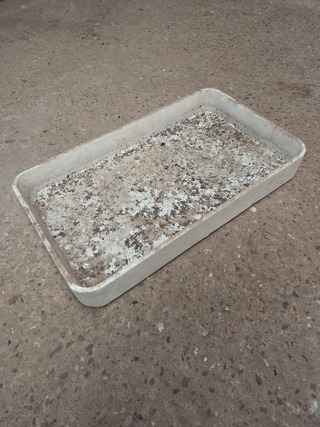 Assortiment Tempex kweekbakken