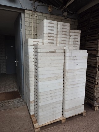 Assortiment Tempex kweekbakken