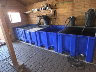 6x Quarantainebak met toebehoren